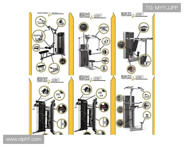查找健身器材网站资源及专业购买指南