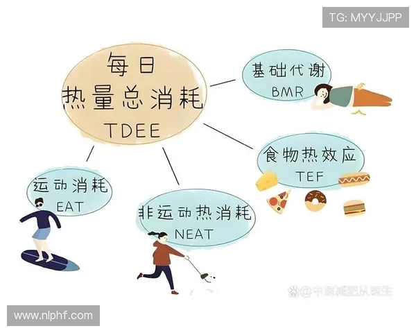 高强度间歇训练如何改善新陈代谢与脂肪减少