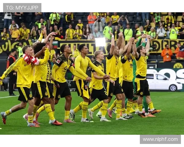 每支德甲球队的战术特点与核心优势分析