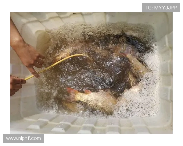 98世界杯日本对牙买加之战与亚洲足球初登舞台的记忆激情瞬间回顾 98世界杯日本对牙买加之战与亚洲足球初登舞台的记忆激情瞬间回顾